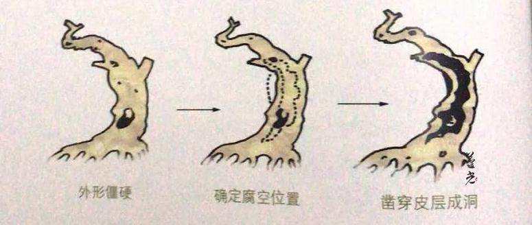 图解 盆景保密技术大公开