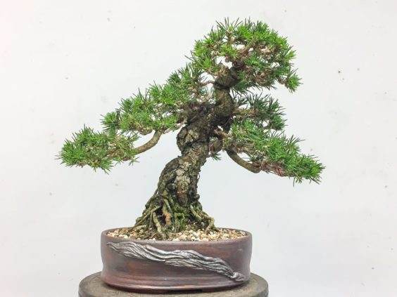 翻盘后 - 盆子2,B面