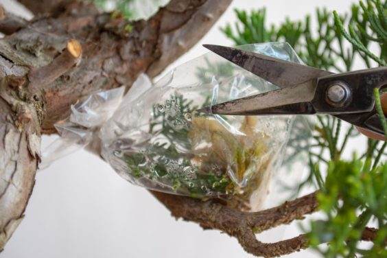 制作第二个孔 - 注意袋内的冷凝水已修剪