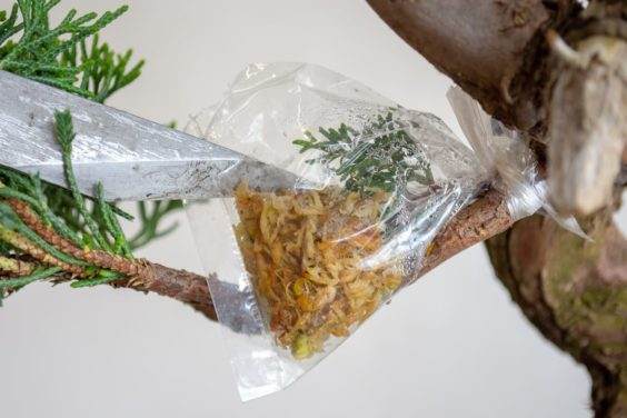 在包的顶部创建一个开口