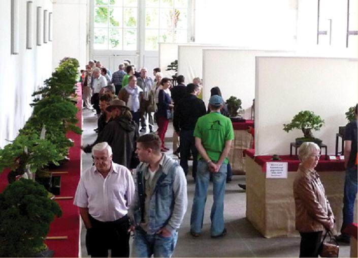 国际盆景俱乐部会议和旅游