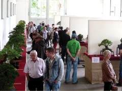 国际盆景俱乐部每年都会举办一次重要的国际会议