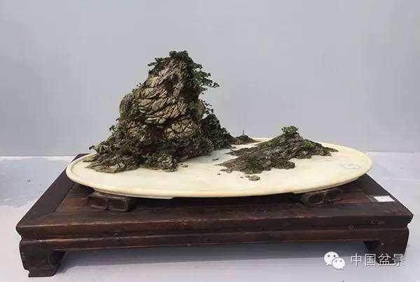  国际盆景俱乐部