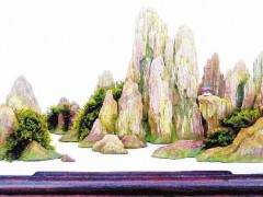 大学毕业后 陈文朝对盆景艺术的热忱不减