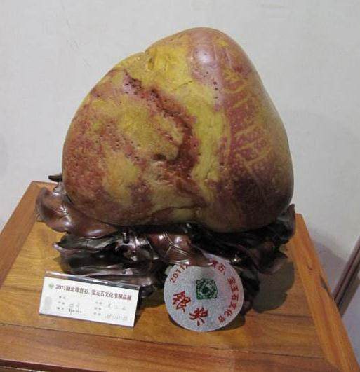 广东饶平县首届盆景赏石展盛大举行