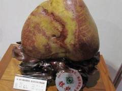 广东饶平县首届盆景赏石展盛大举行