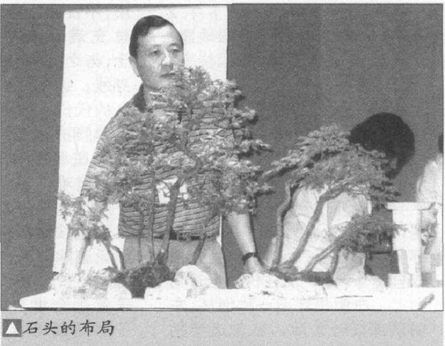 图解 如何制作水旱盆景上的苔藓