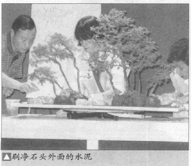 图解 如何制作水旱盆景上的苔藓