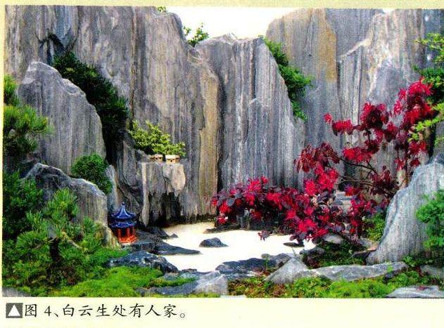 我们何不依此创作一件盆景组合景观表示纪念