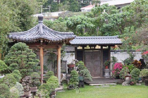 女盆景艺术家梁悦美的简史