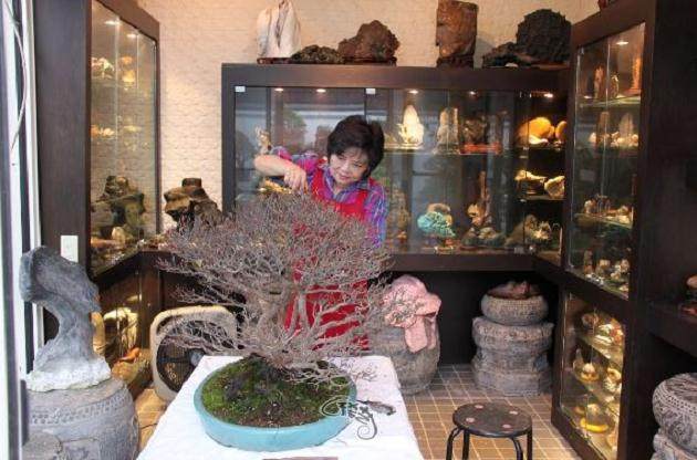 女盆景艺术家梁悦美的简史