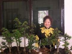 女盆景艺术家梁悦美的简史