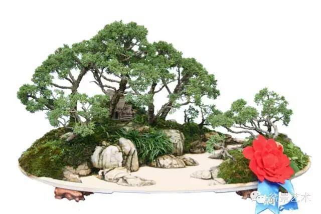 盆景怎么构图的8个表现方式 图片