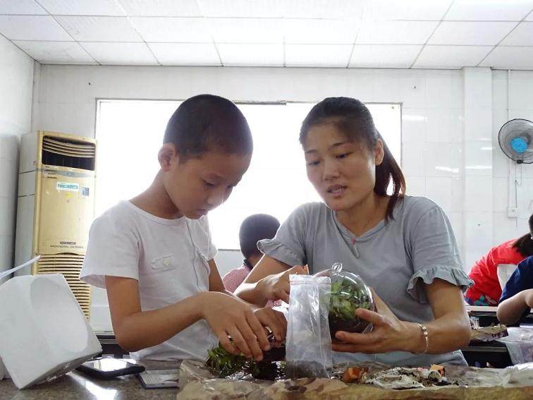 罗田社区为13对小候鸟亲子开展创意盆景活动