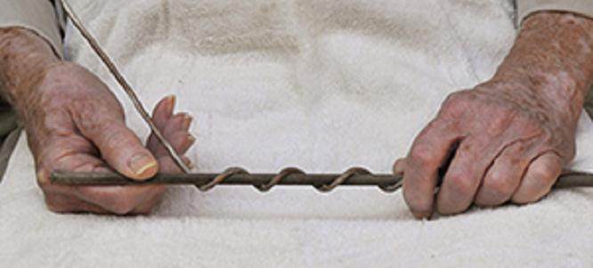 图解 杜松盆景怎么盘扎的5个技术