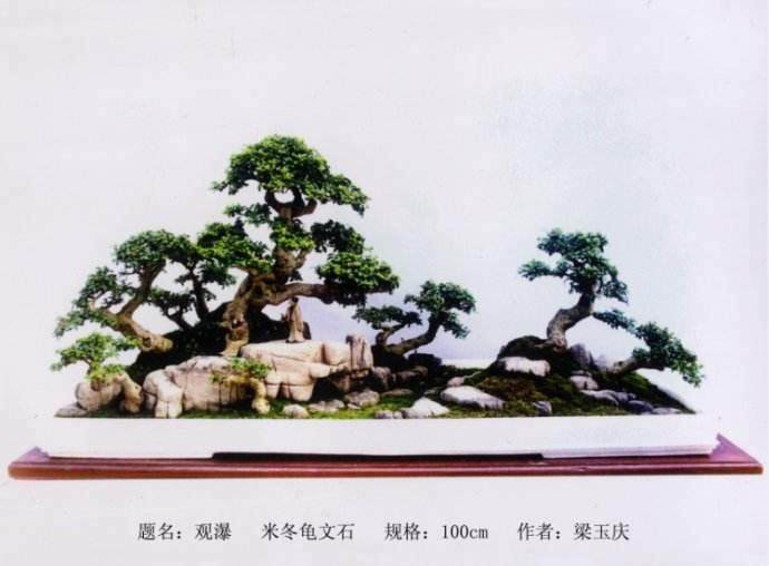 我们的盆景作品是多么的深刻感人啊！