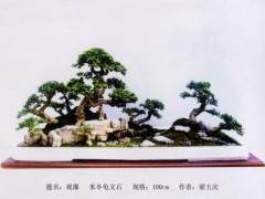 我们的盆景作品是多么的深刻感人啊