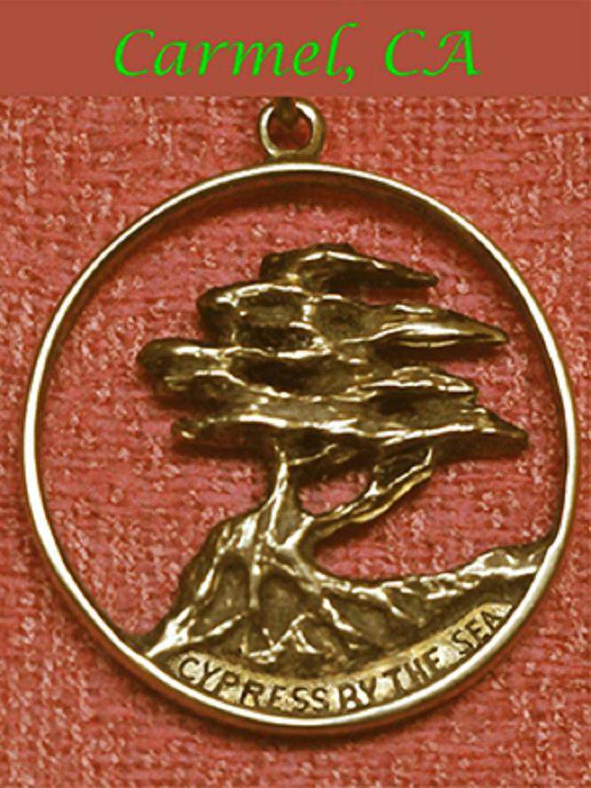 以3.98美元买了2棵小叶柏树盆景