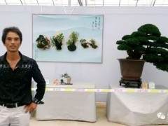 陈志祥和他的盆景艺术