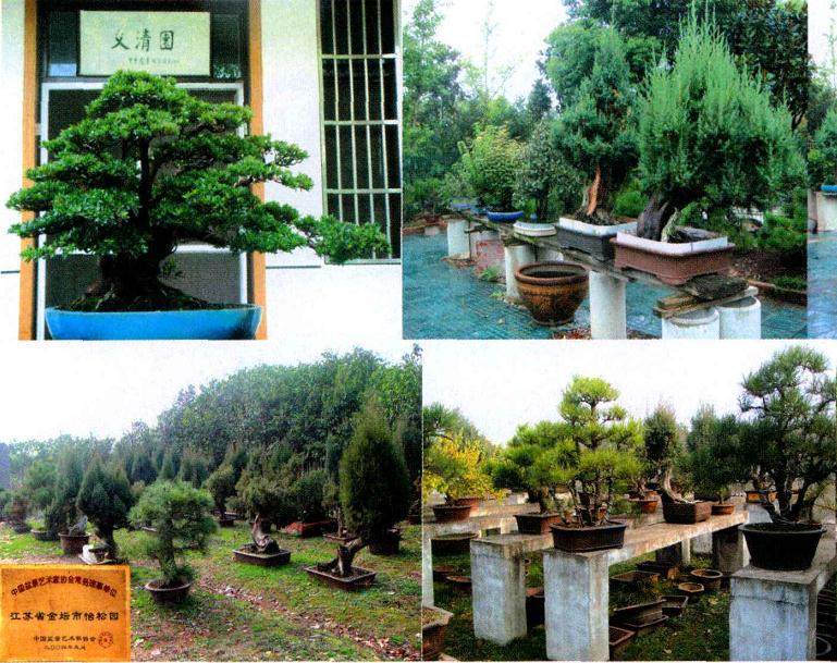 州华东花木城有限公司与常州盆景协会签订协议