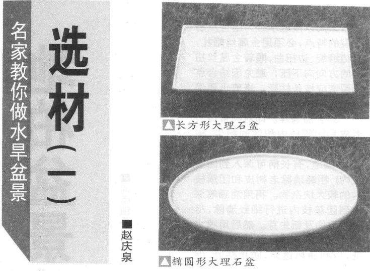 水旱盆景的材料主要包括盆、树、石、摆件和土