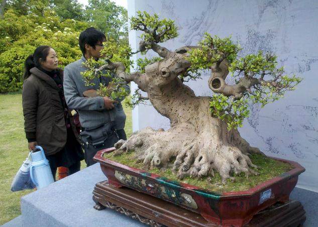 赵庆泉大师喜获扬州市园林局特殊贡献奖