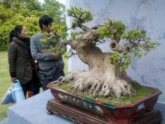 赵庆泉大师喜获扬州市园林局特殊贡献奖