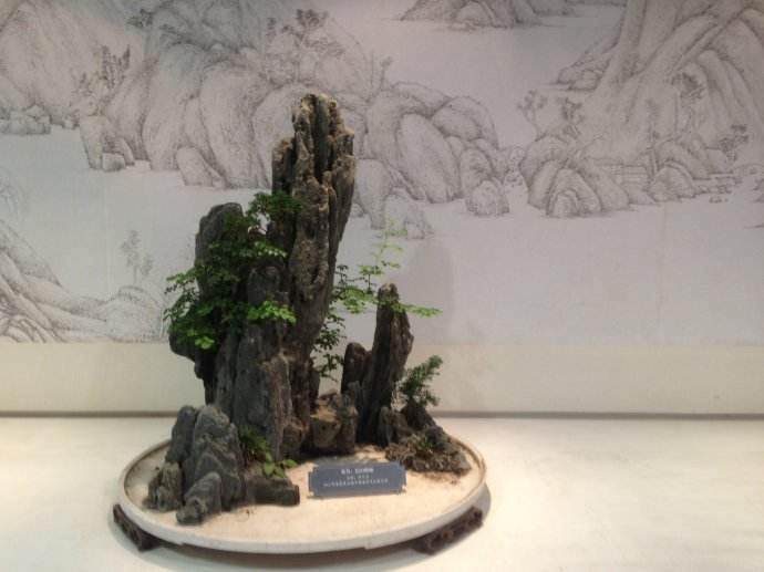 福建省举办盆景艺术精品展