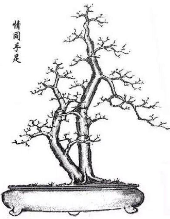 盆景造型三百势