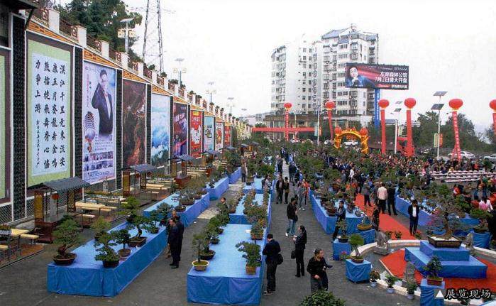 陕西省第二届盆景赏石根艺书画展览