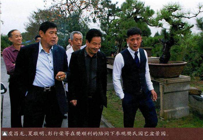 安徽省盆景艺术协会和合肥植物园联合主办