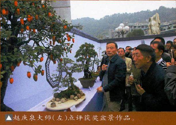 武陵盆景博览会于10月15日举行了隆重的开幕仪式