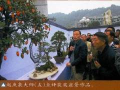 武陵盆景博览会于10月15日举行了隆重的开幕仪式