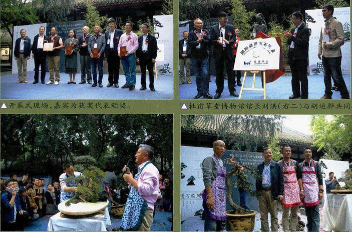 川派盆景曾在中国盆景界有着特别的地位