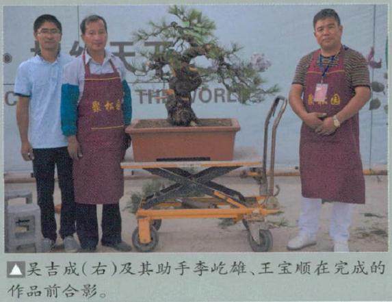 江苏首届中国盆景艺术家协会盆景艺术联展