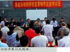 扬州盆景艺术家协会举办的侧柏盆景制作培训班