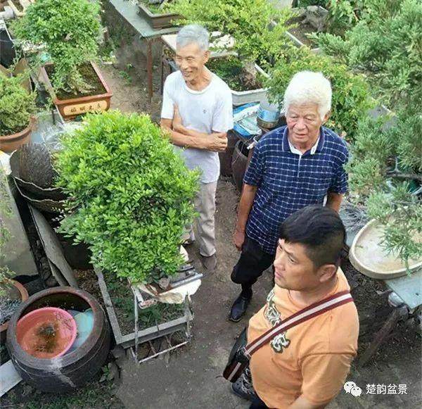 孝感市的空中盆景园