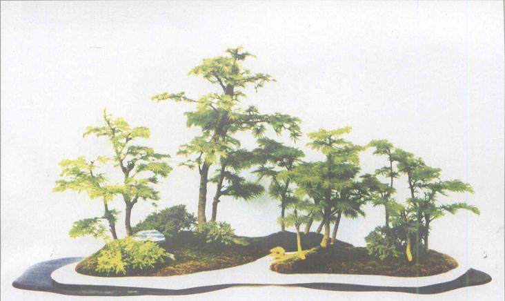 张夷的砚式盆景正是不断地追求着这样的文人理想