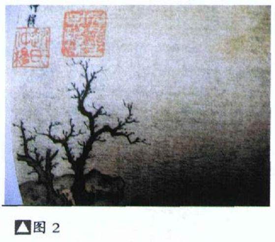 图解 如何修剪盆景的大飘枝