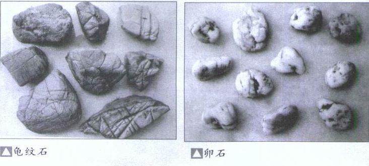 如何给水旱盆景选择最好的石材 图片