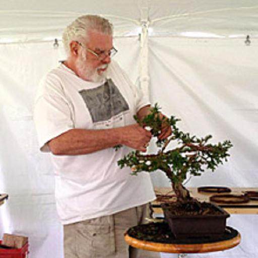 什么是波托马克盆景协会？