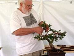 什么是波托马克盆景协会？