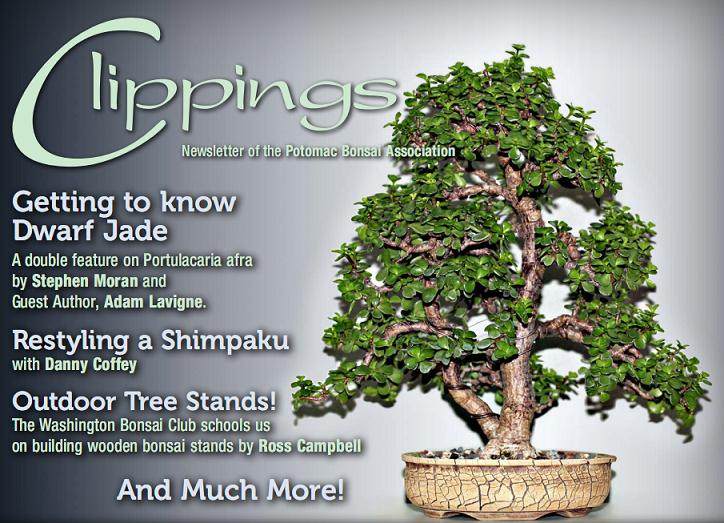 波托马克盆景协会杂志的广告价格