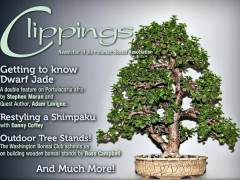 波托马克盆景协会杂志的广告价格