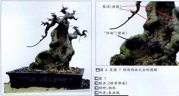 图解 制作盆景舍利干的4个步骤