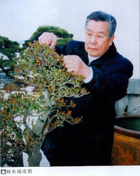 泉州公园举行中国杂木盆景研讨会