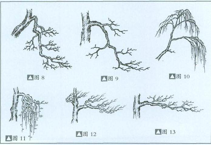 也谈杂木盆景的枝托造型布局与线条美