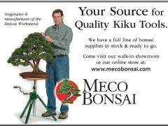 我们作为波托马克盆景协会度过了美好的一年