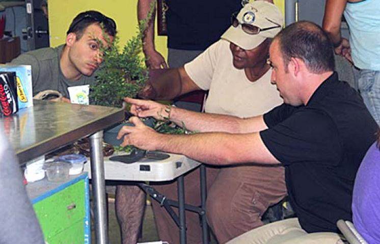 Meehan的Miniatures主持纳什维尔盆景的闪亮之星