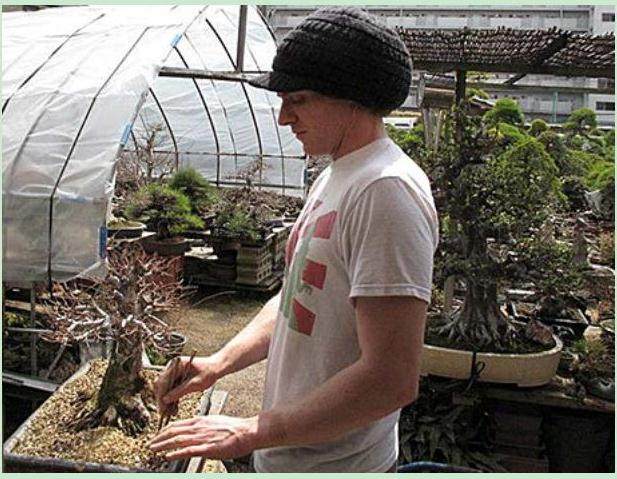 来自Aichien的盆景学徒Danny Coffey问候访谈!